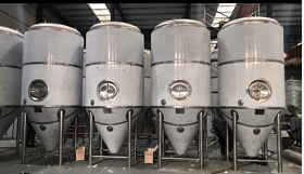和硕广东东莞风飞精酿啤酒厂